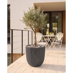 Donica CHIOS 44 cm Czarny Donica CHIOS 44 cm Czarny