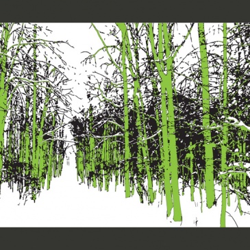 Fototapeta - drzewa - wiosna (200x154 cm)