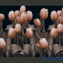 Fototapeta - Ladies among the flowers (200x154 cm)