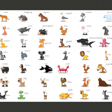 Fototapeta - Learning by playing (animals) (200x154 cm)