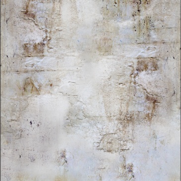 Fototapeta - Rdzawy cień (50x1000 cm)
