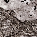 Fototapeta - Szara skała (50x1000 cm)