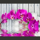 Fototapeta - Violet orchids with water reflexion (200x154 cm)