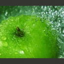 Fototapeta - Zielone jabłko (200x154 cm)