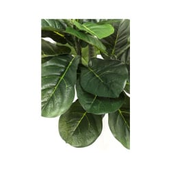 Kare roślina dekoracyjna fiddle leaf 120 cm