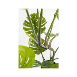 Kare roślina dekoracyjna monstera 110 cm