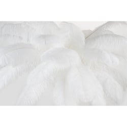 Lampa podłogowa tiffany 175 biała  mosiądz / naturalne pióra