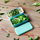 Lunchbox Bento Original, Green Lagoon