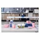 Lunchbox Ellipse Duo Nordic Pink 107640076700