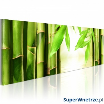 Obraz - Bamboo gate (120x40 cm)