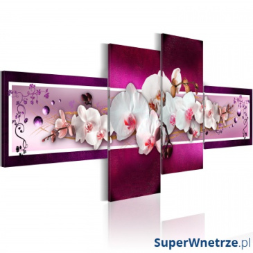 Obraz - Romantyczne orchidee (100x45 cm)