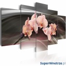 Obraz - Różowa orchidea na ciemnym tle (100x50 cm)