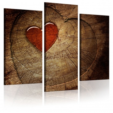 Obraz - Stara miłość nie rdzewieje - tryptyk (60x50 cm)