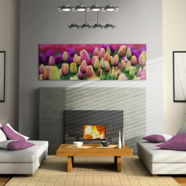 Obraz - Tęczowe tulipany (120x40 cm)