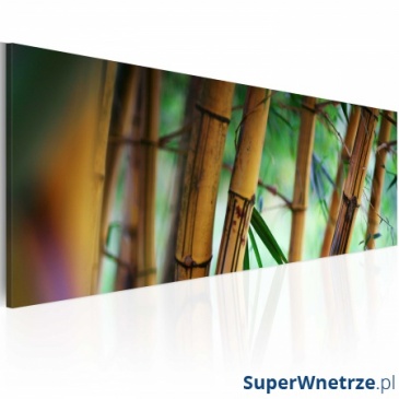 Obraz - Wild bamboos (120x40 cm)