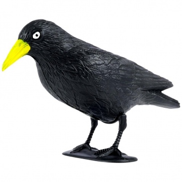 Odstraszacz ptaków gołębi szpaków kruk czarny