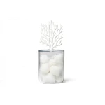 Pojemnik Coral 10336-CL-WH