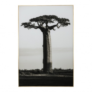Reprodukcja na szkle Baobab 80x120x3cm