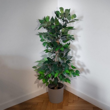 Sztuczna roślina w doniczce dekoracyjna / wysokie drzewko fikus benjamin 112 cm
